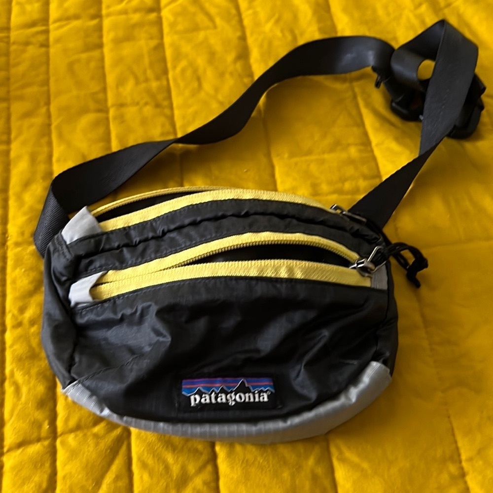 Patagonia Fanny pack